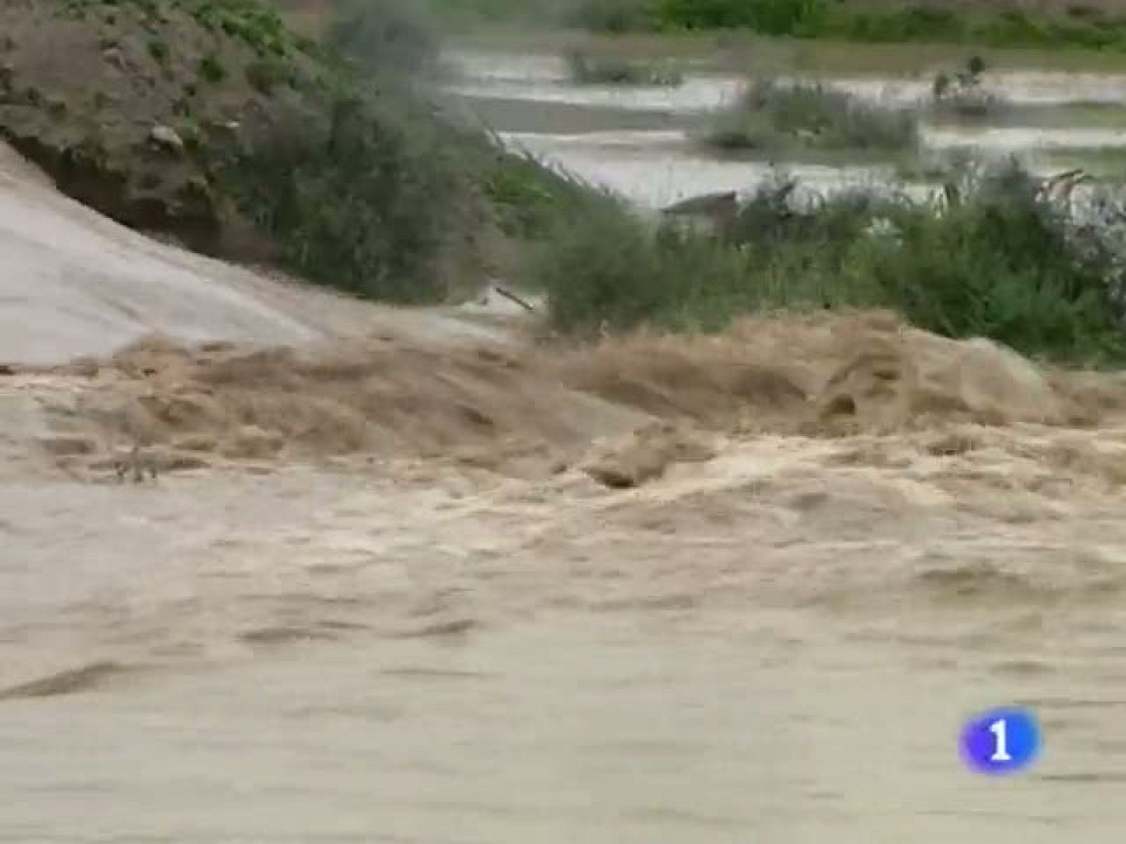 Telecanarias - 25/01/11 | Ver