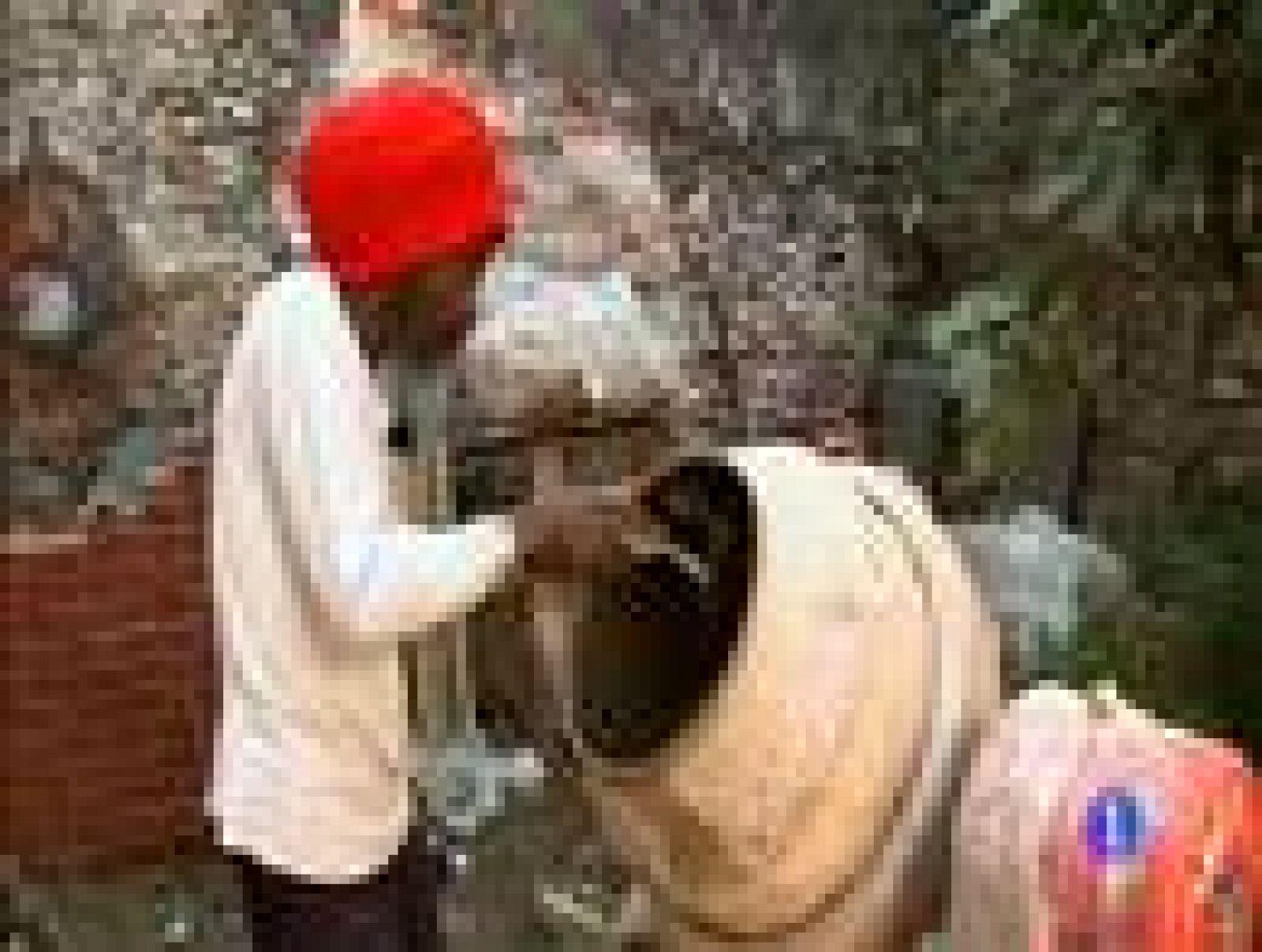 Destino: La Rioja II, Ibrahim