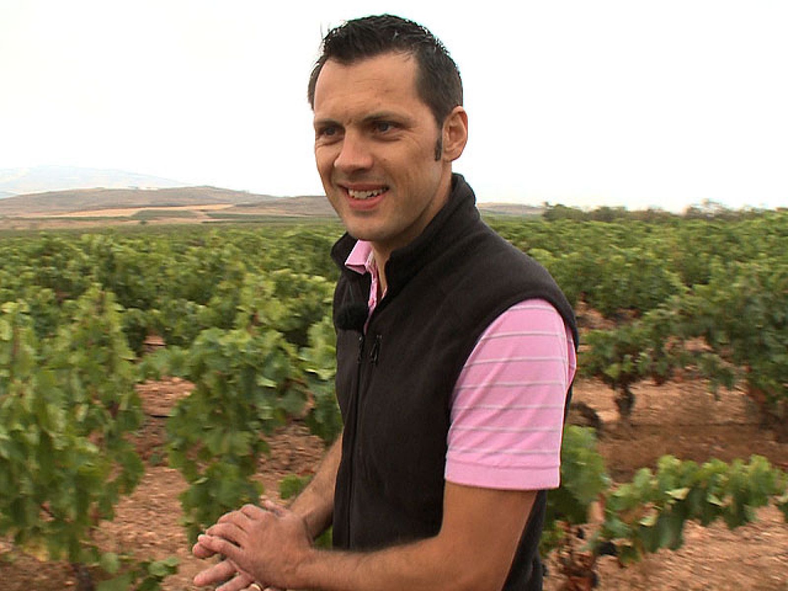 Destino: La Rioja II, Oliviere