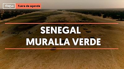 ¿Conoces la gran Muralla Verde de Senegal?